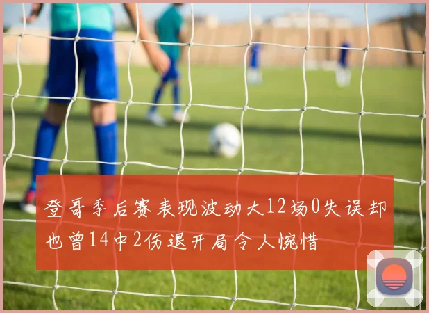 登哥季后赛表现波动大12场0失误却也曾14中2伤退开局令人惋惜