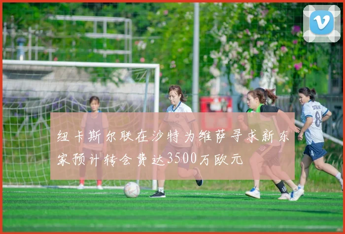 纽卡斯尔联在沙特为维萨寻求新东家预计转会费达3500万欧元