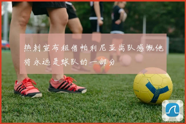 热刺宣布租借帕利尼亚离队感慨他将永远是球队的一部分